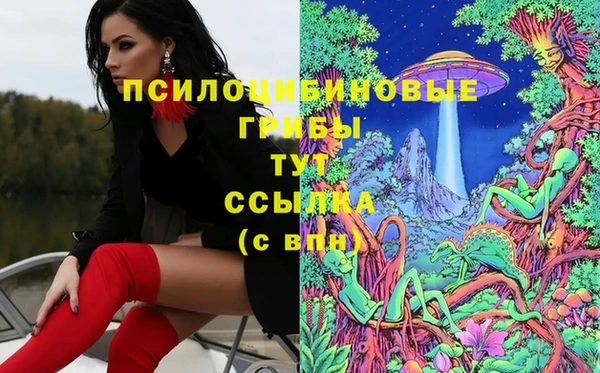 прущие грибы Абдулино