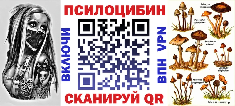 где найти наркотики  Задонск  Галлюциногенные грибы мицелий 